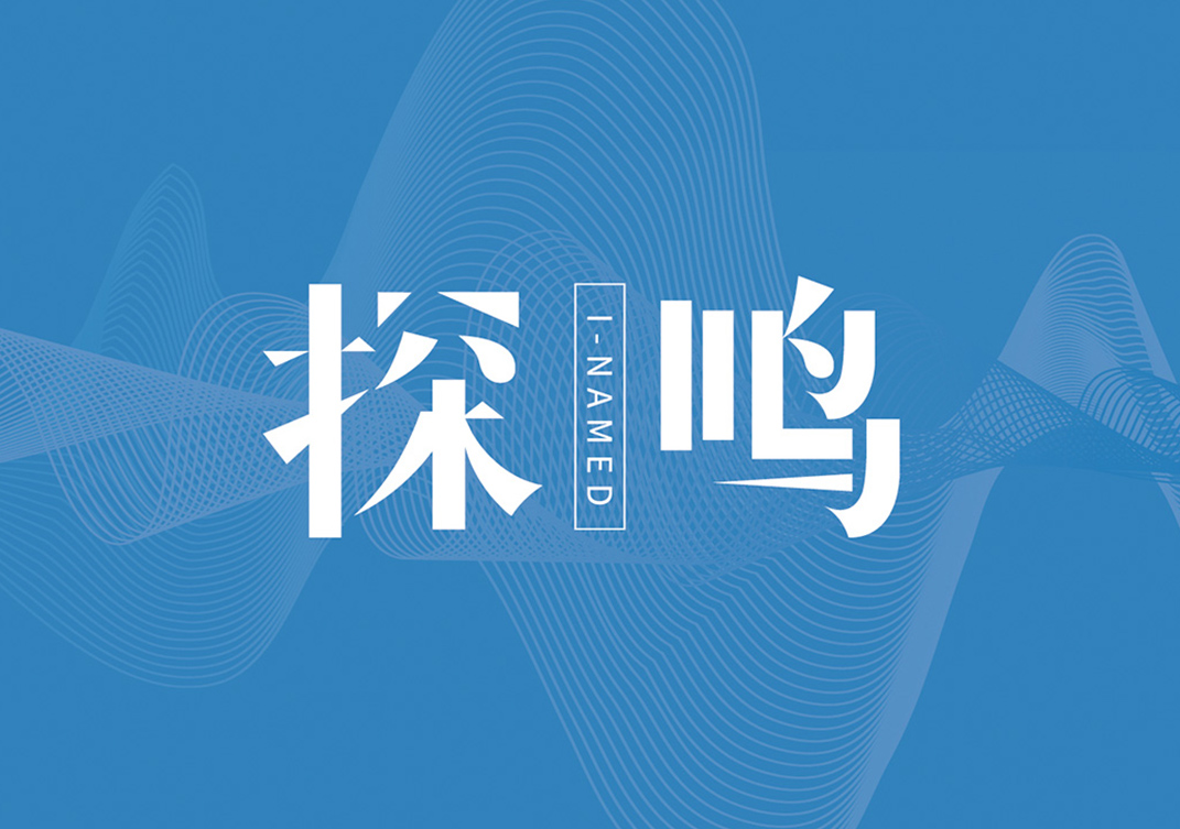  探鳴品牌起名公司logo.jpg